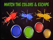 Ants Tap Tap Game Online