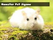 Hamster Pet Jigsaw Game Online