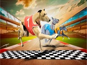 Crazy Dog Racing Simulator Game Online