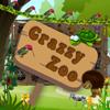 Crazzy Zoo Game Online