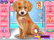 Fashion Pet Doctor Game Online