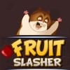 Fruit Slasher Game Online