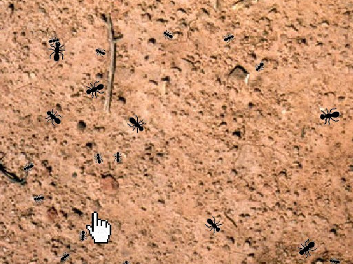 Ant Splat Game