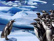 Penguins Slide Game Online