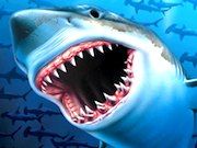 Shark Web Games at AnimalWebGames.com