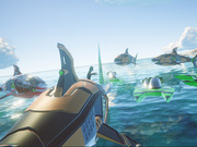 Play Shark Ships Shark Ships Game Online
