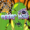 Spider Web Game Online